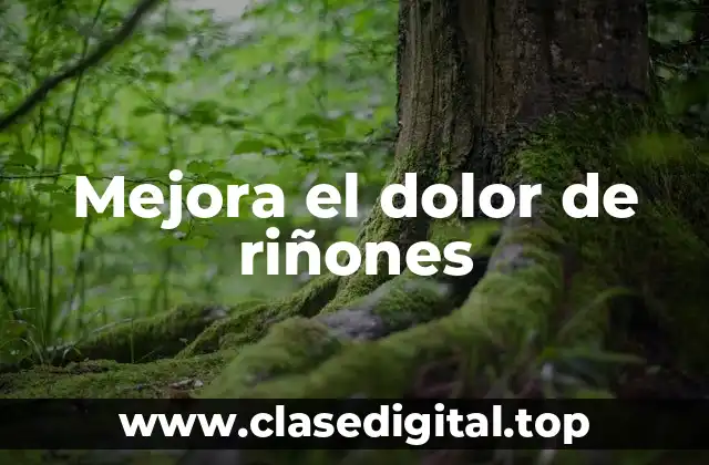 Causas del dolor de riñones