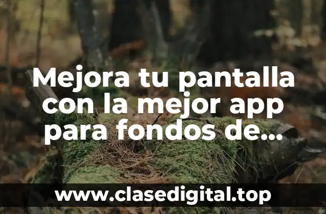 Mejora tu pantalla con la mejor app para fondos de pantalla en movimiento