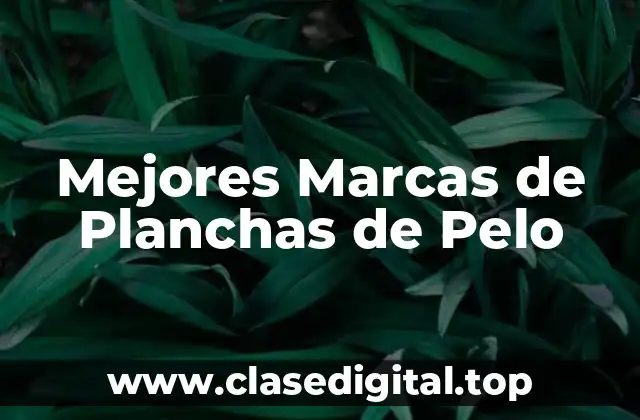 Mejores Marcas de Planchas de Pelo