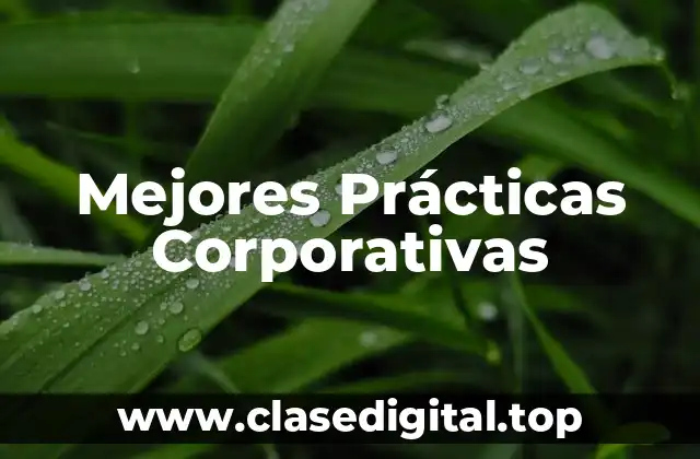 Mejores Prácticas Corporativas