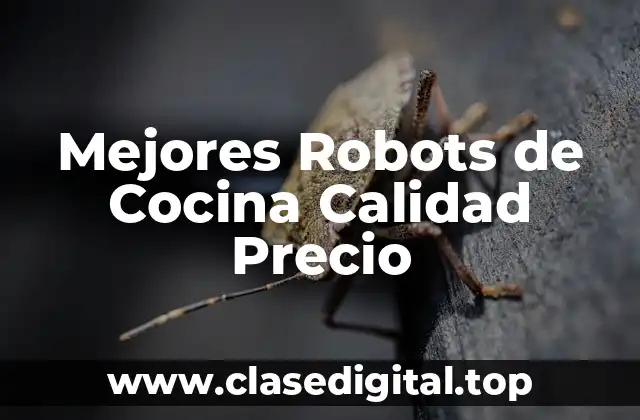 Mejores Robots de Cocina Calidad Precio