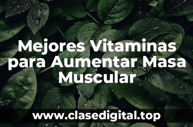 ¿Cuáles son las Vitaminas Esenciales para el Crecimiento Muscular?