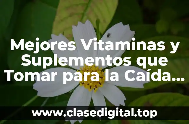 La Importancia de la Vitamina C para el Crecimiento del Cabello