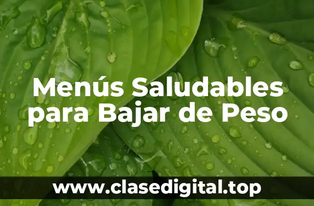Menús Saludables para Bajar de Peso