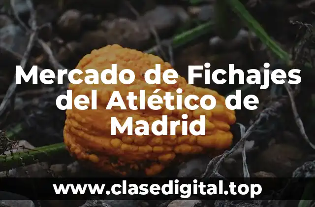 La Situación Actual del Atlético de Madrid en el Mercado de Fichajes