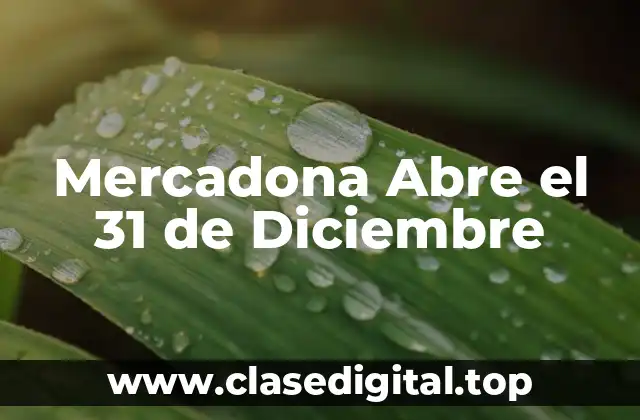 Mercadona Abre el 31 de Diciembre