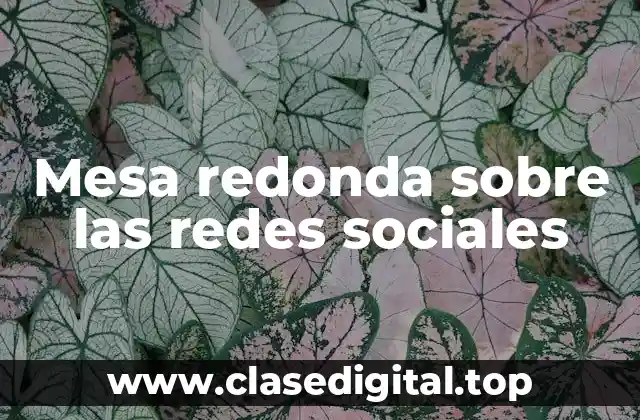 Mesa redonda sobre las redes sociales