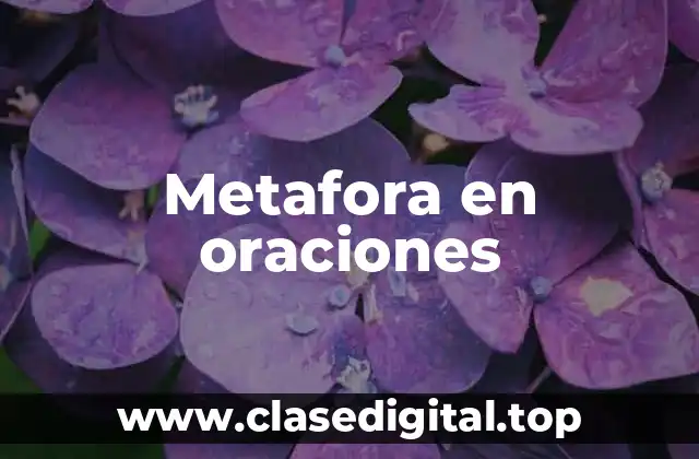 Metafora en oraciones