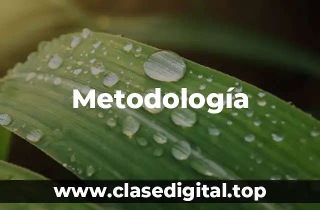 Metodología