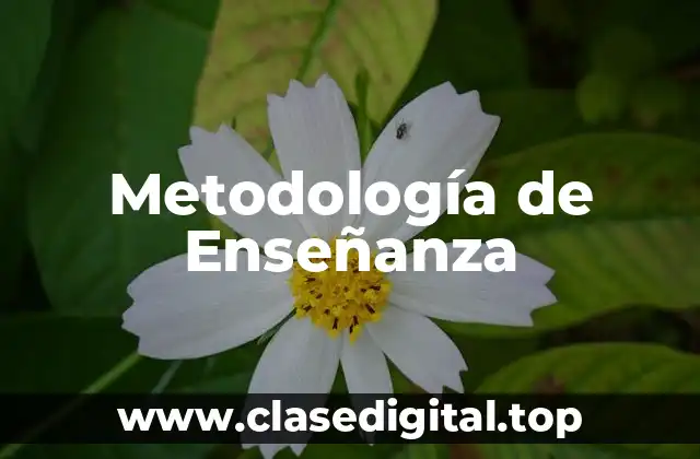 Ejemplos de metodología de enseñanza