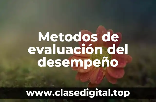 Metodos de evaluación del desempeño