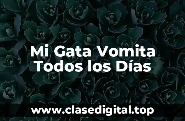 Mi Gata Vomita Todos los Días