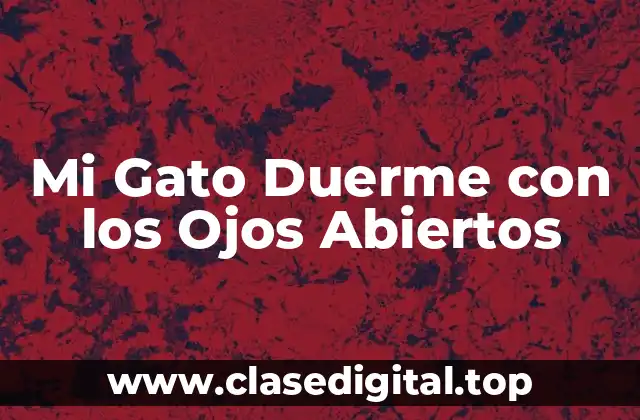 Mi Gato Duerme con los Ojos Abiertos