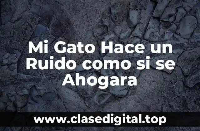 Mi Gato Hace un Ruido como si se Ahogara