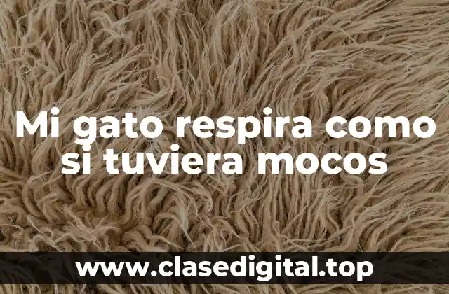 Mi gato respira como si tuviera mocos