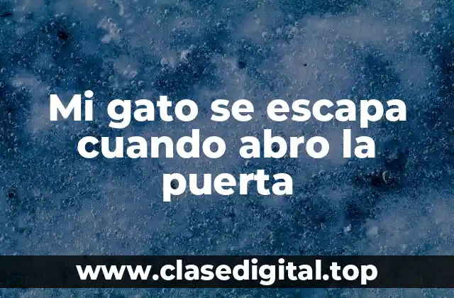 Mi gato se escapa cuando abro la puerta