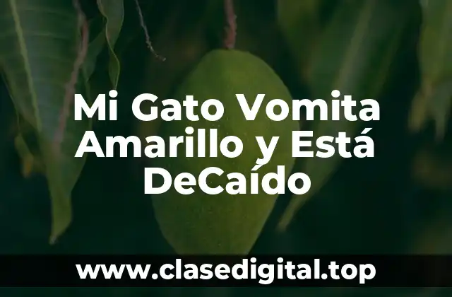 Mi Gato Vomita Amarillo y Está DeCaído