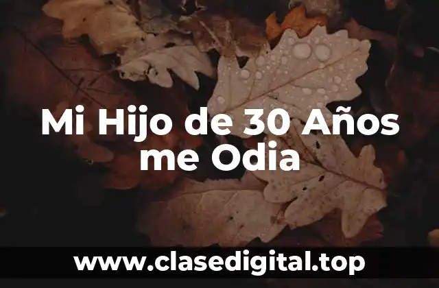 Mi Hijo de 30 Años me Odia