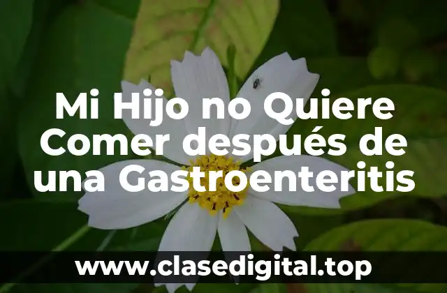 Mi Hijo no Quiere Comer después de una Gastroenteritis
