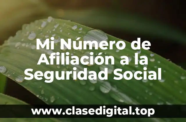 Mi Número de Afiliación a la Seguridad Social