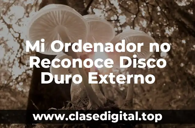 Mi Ordenador no Reconoce Disco Duro Externo