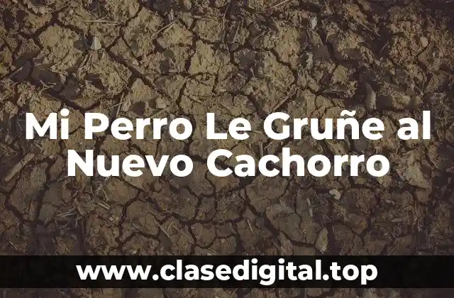 Mi Perro Le Gruñe al Nuevo Cachorro