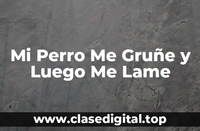 Mi Perro Me Gruñe y Luego Me Lame