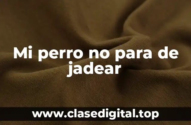 Mi perro no para de jadear