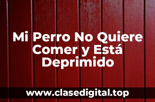 Causas Comunes de la Pérdida de Apetito en Perros