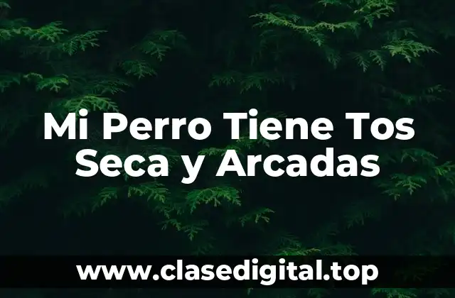 Mi Perro Tiene Tos Seca y Arcadas