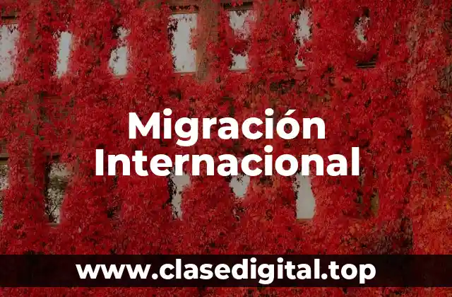 Migración Internacional