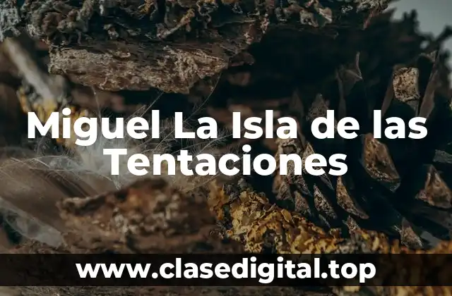 Miguel La Isla de las Tentaciones