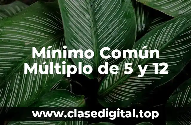 Mínimo Común Múltiplo de 5 y 12