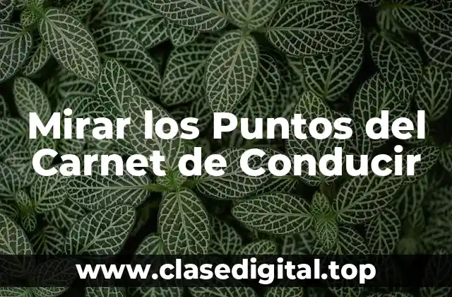 Mirar los Puntos del Carnet de Conducir