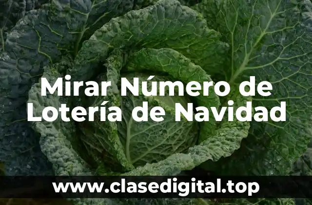 Mirar Número de Lotería de Navidad