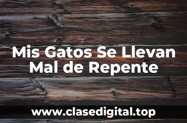 Mis Gatos Se Llevan Mal de Repente