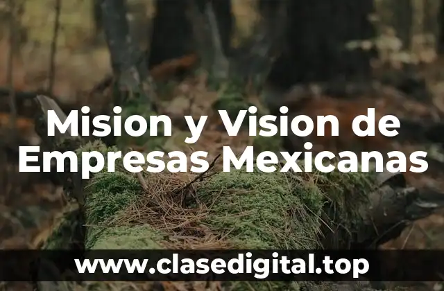 Mision y Vision de Empresas Mexicanas
