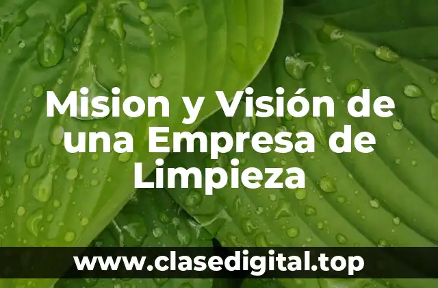 Mision y Visión de una Empresa de Limpieza