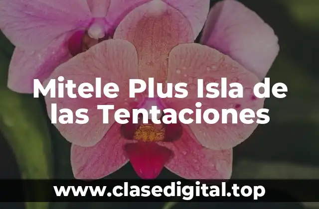 ¿Qué es Mitele Plus Isla de las Tentaciones?