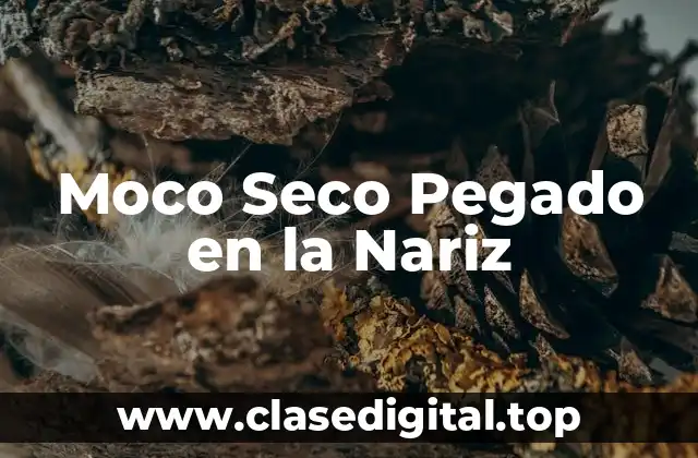 Moco Seco Pegado en la Nariz