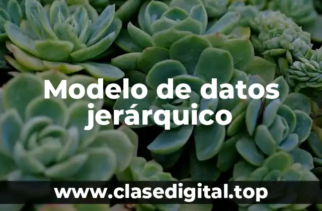 Modelo de datos jerárquico