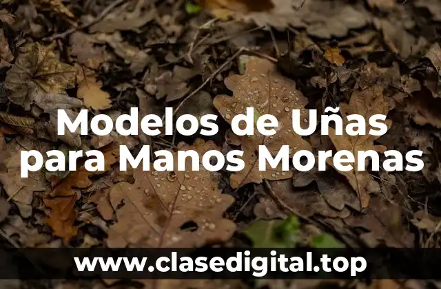 Modelos de Uñas para Manos Morenas