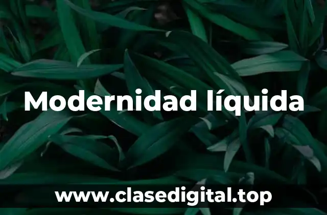 Modernidad líquida