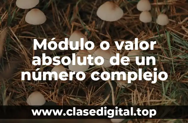 Módulo o valor absoluto de un número complejo