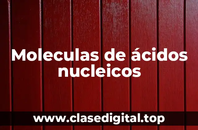 Moleculas de ácidos nucleicos