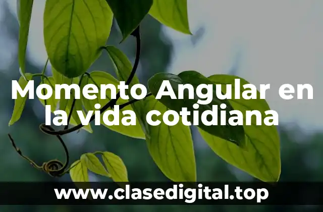 Momento Angular en la vida cotidiana
