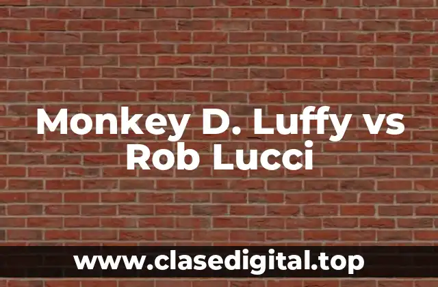 Monkey D. Luffy vs Rob Lucci