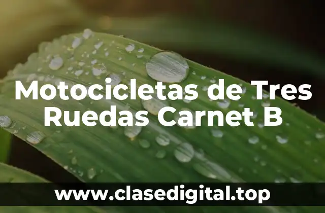 Motocicletas de Tres Ruedas Carnet B