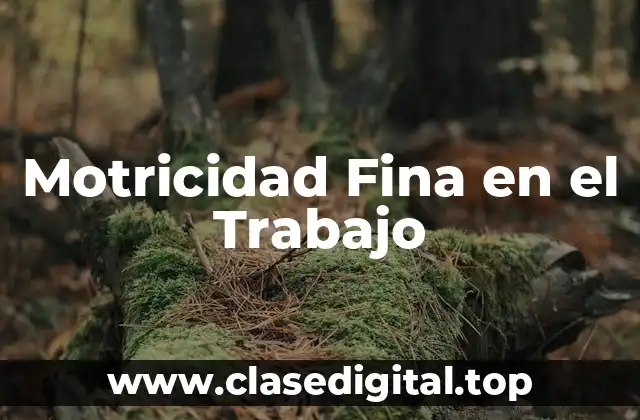 Motricidad Fina en el Trabajo
