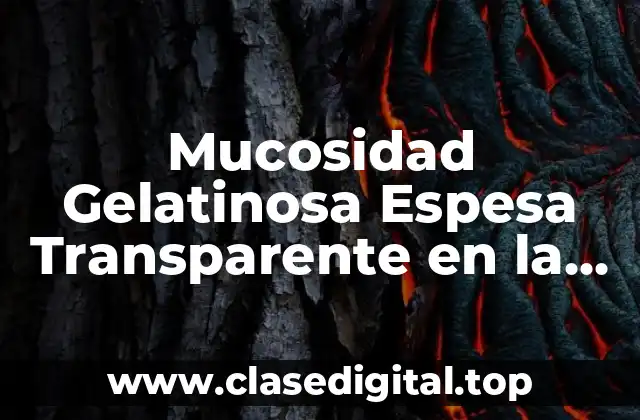 Causas de la Mucosidad Gelatinosa Espesa Transparente en la Garganta